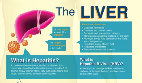 What is Hepatitis?