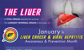 The Liver - A Vital Organ Essential for Survival thumbnail