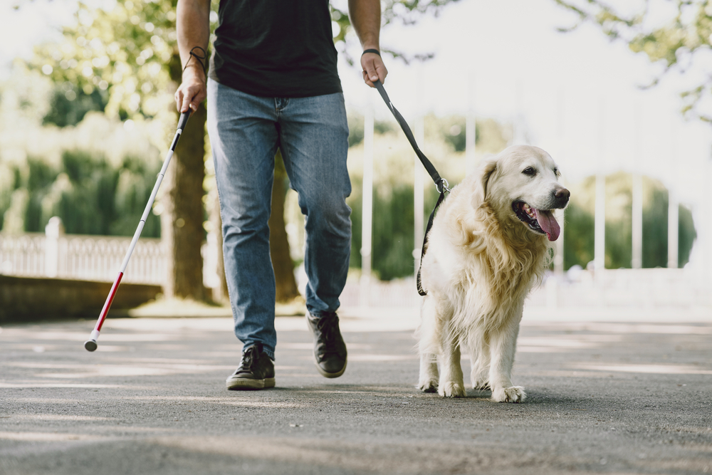 10 Fascinating Facts About the White Cane That You Need to Know - Blogs -  Makati Medical Center