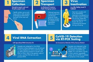 Testing Process